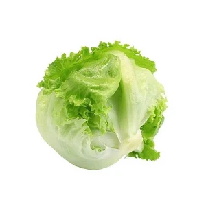 Seminte de salata Iceberg - Soi Foarte Productiv cu Marime Medie - 1800 seminte, Opal